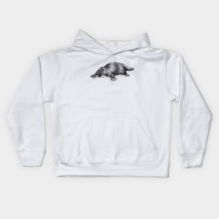 Platypus Illustration Kids Hoodie